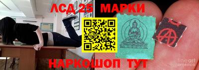 мяу мяу мука Краснознаменск